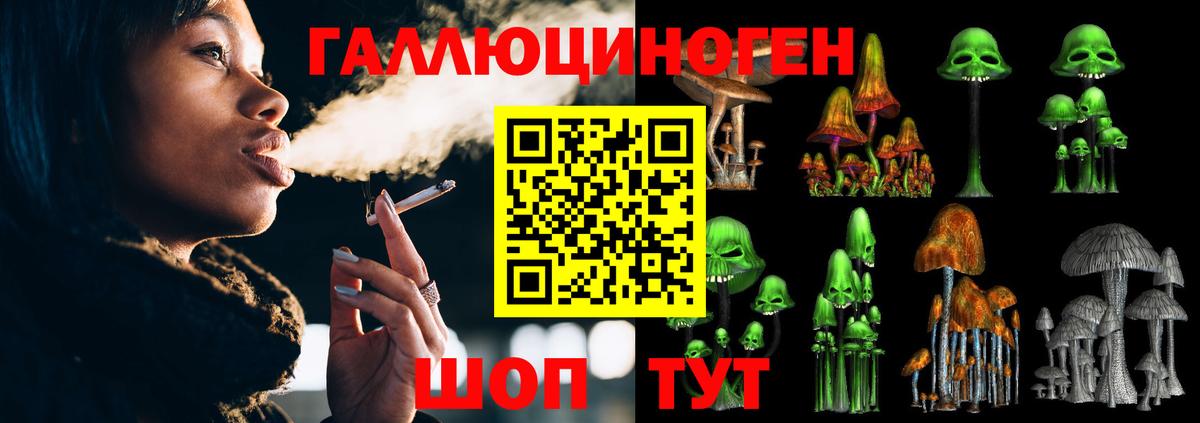 Галлюциногенные грибы прущие грибы Великие Луки