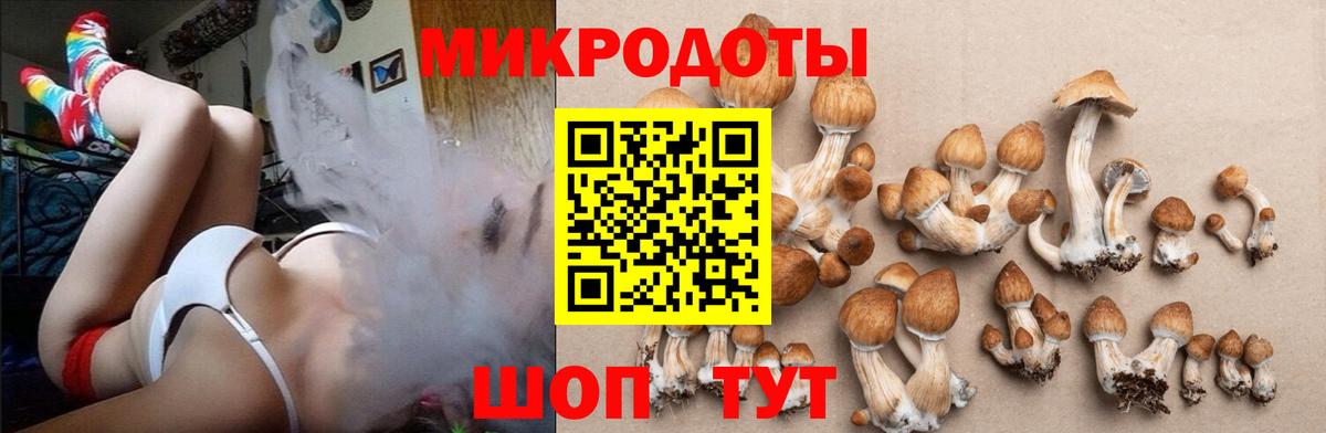 Псилоцибиновые грибы ЛСД  Вход с VPN  Великие Луки  Галлюциногенные грибы GOLDEN TEACHER 